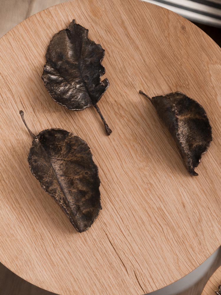 Bramley Apple Leaf