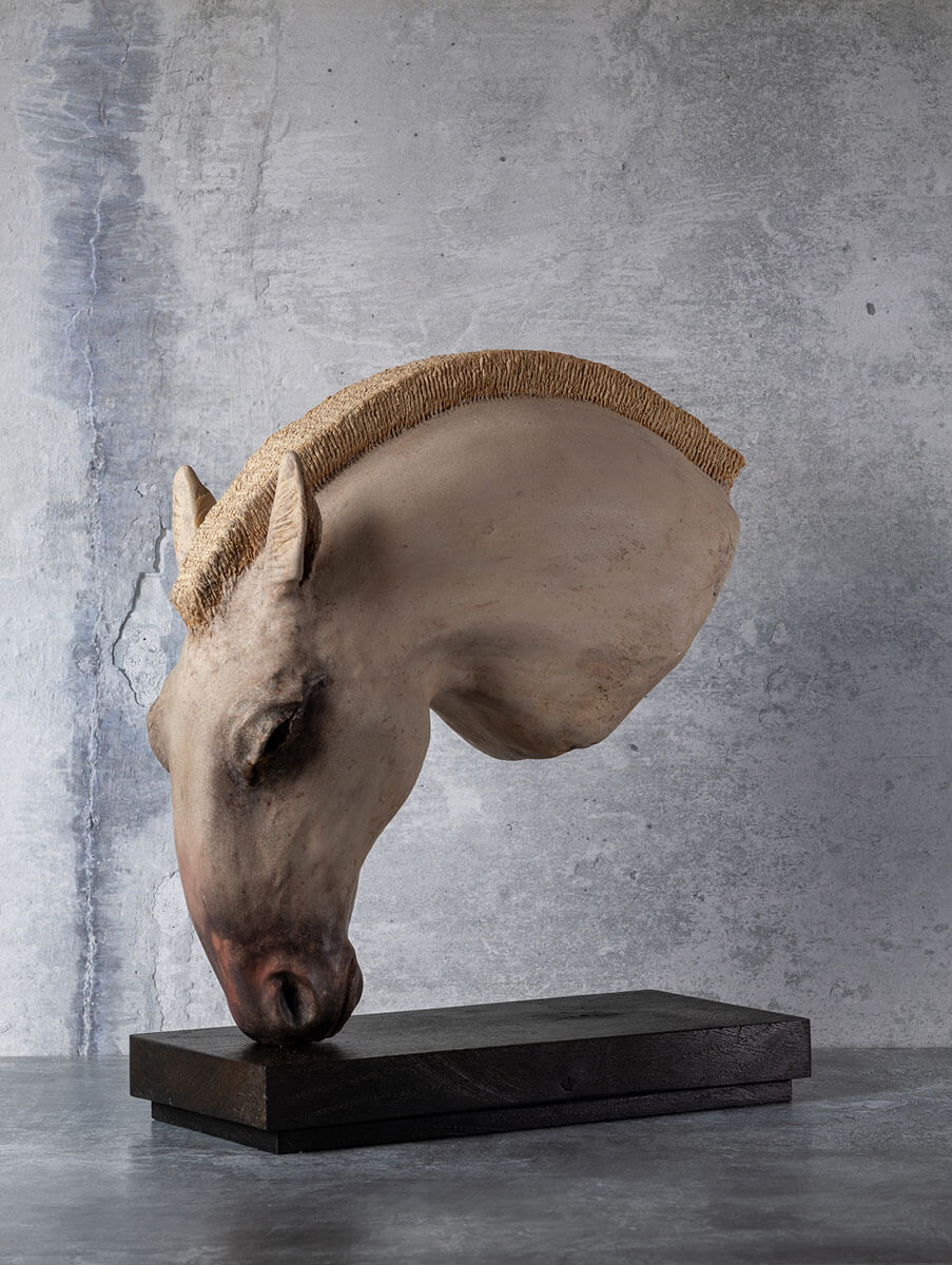 Alba Polo Pony Horse Head