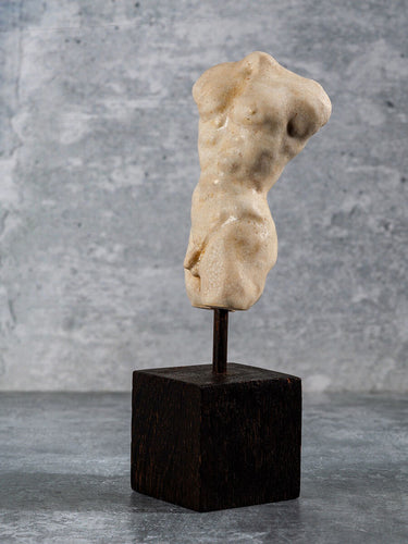 Male Torso Maquette