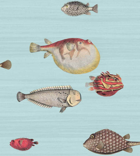 Acquario Wallpaper by Fornasetti and Cole & Son for AUTHOR