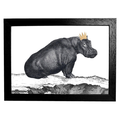 Hippo Print by Mountain & Molehill for AUTHOR's unique collections of British-made home accessories